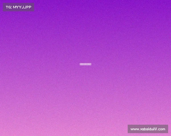 辽宁女排比赛时间